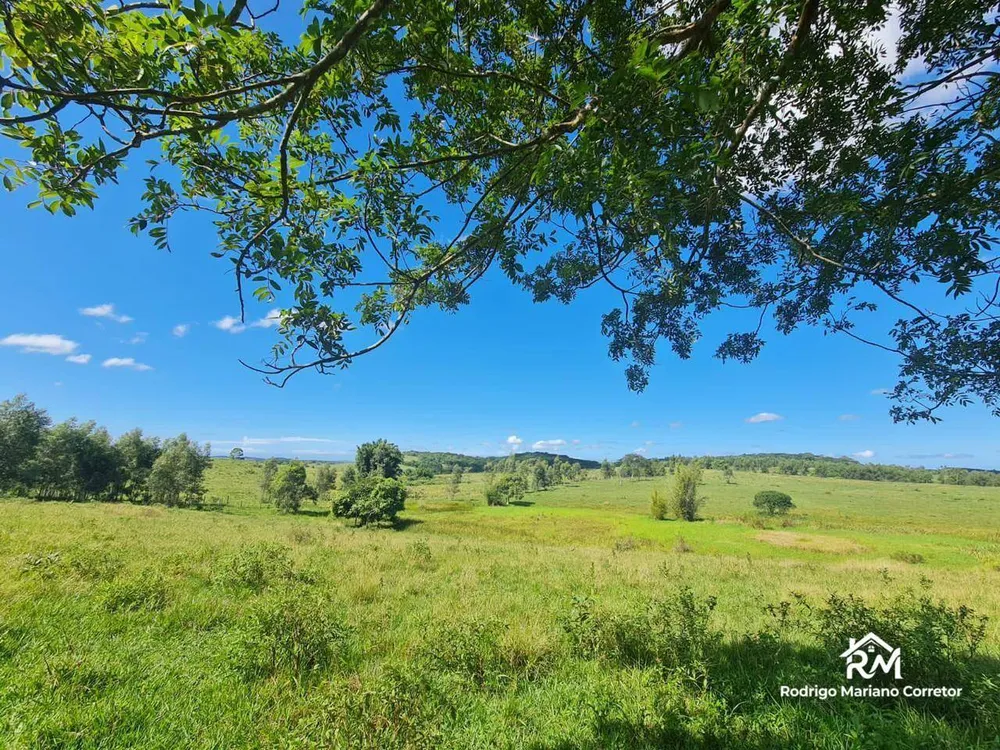 Fazenda, 126 hectares - Foto 36