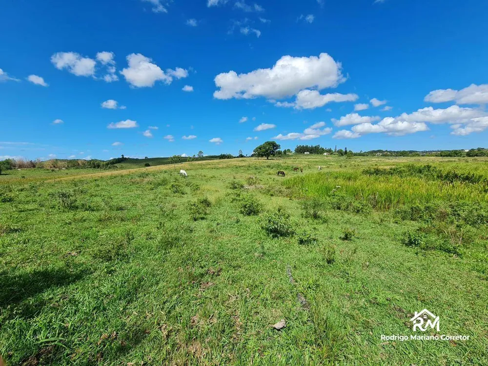 Fazenda, 126 hectares - Foto 62