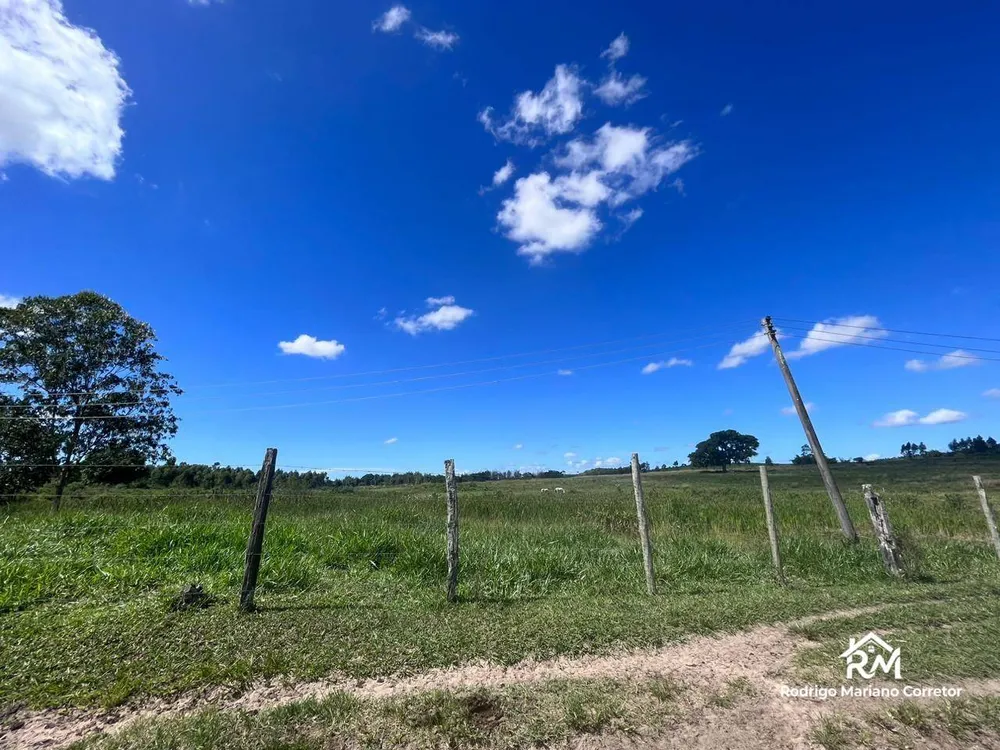 Fazenda, 126 hectares - Foto 24