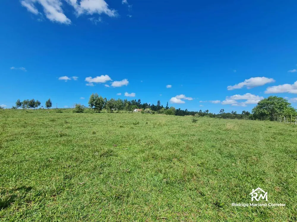 Fazenda, 126 hectares - Foto 40