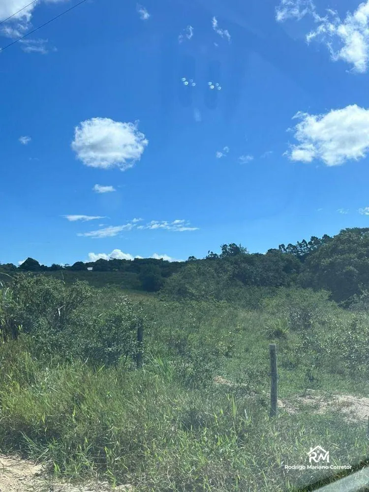Fazenda, 126 hectares - Foto 17