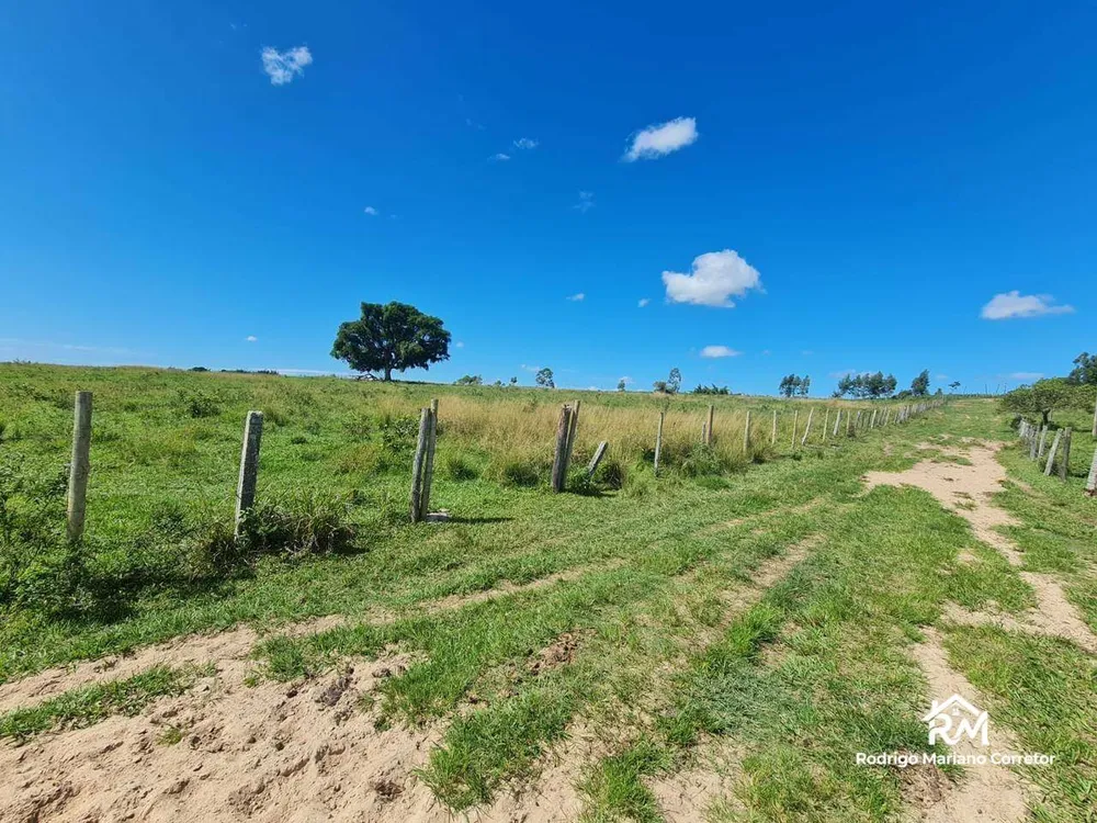 Fazenda, 126 hectares - Foto 42