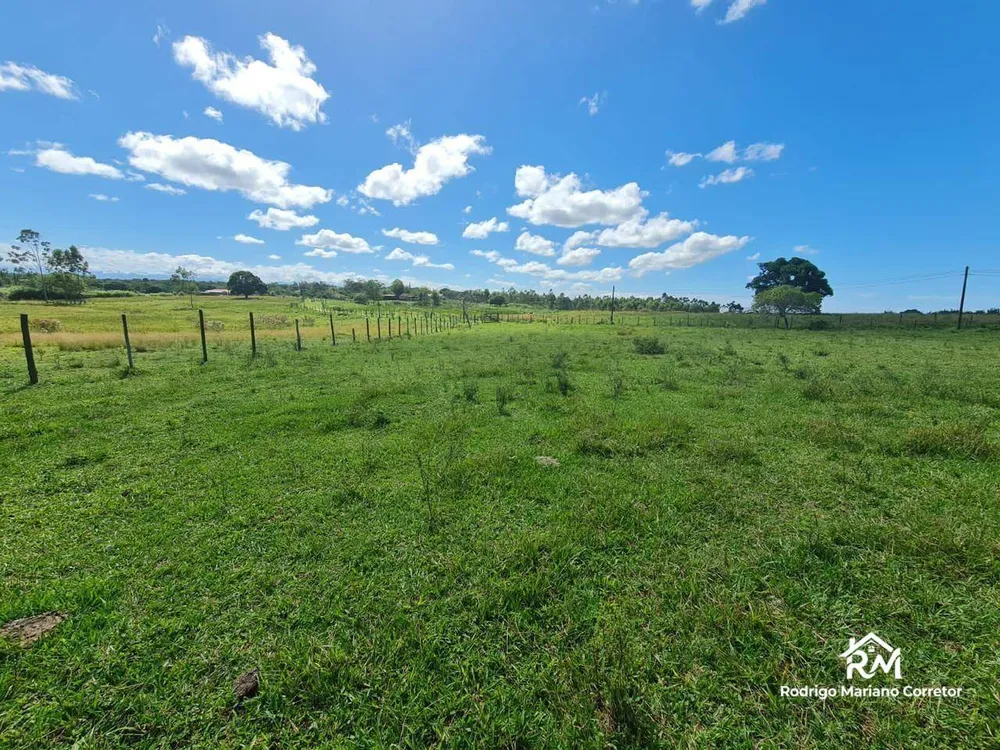 Fazenda, 126 hectares - Foto 39