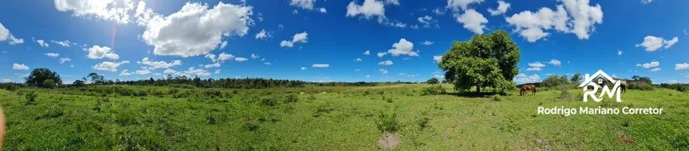 Fazenda, 126 hectares - Foto 43