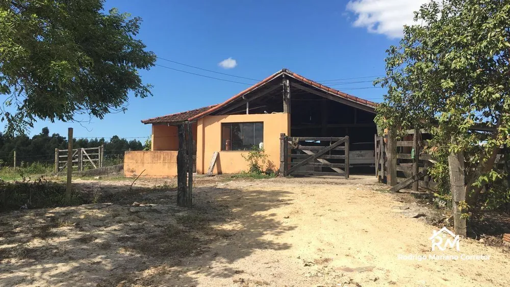 Fazenda, 126 hectares - Foto 12