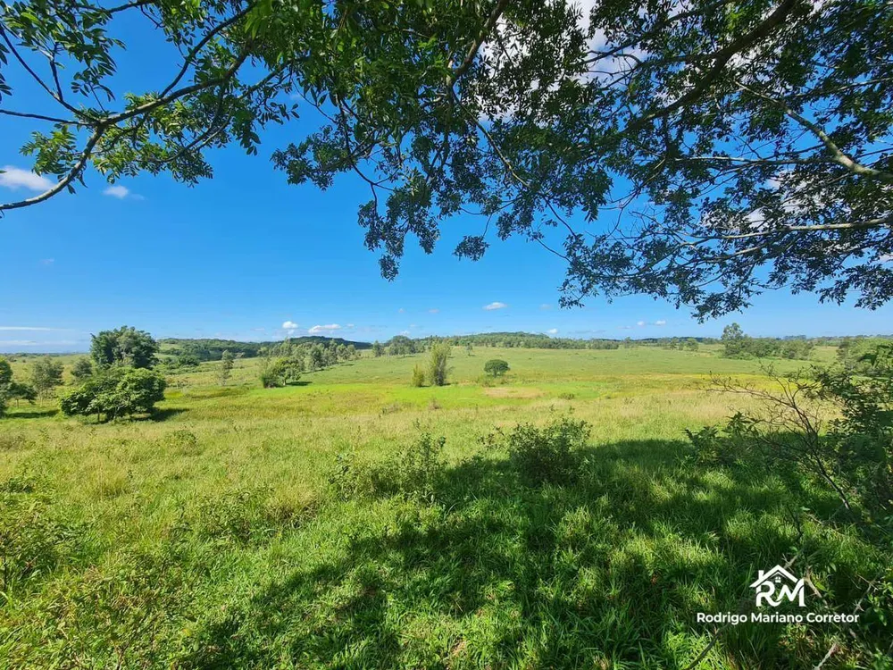 Fazenda, 126 hectares - Foto 37
