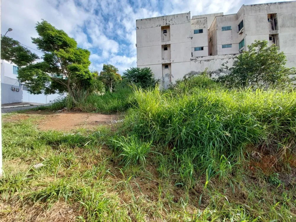 Terreno, 472 m² - Foto 4