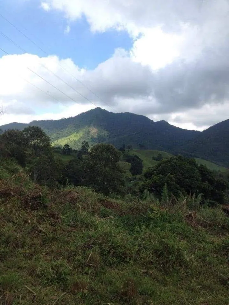 Terreno, 3100 m² - Foto 2