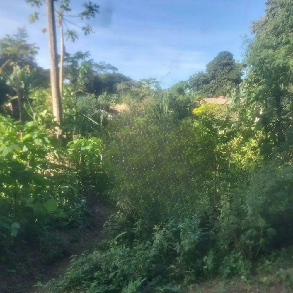 Terreno, 390 m² - Foto 1