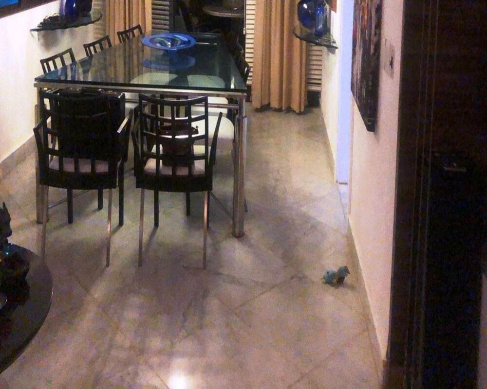 Apartamento, 4 quartos, 212 m² - Foto 2