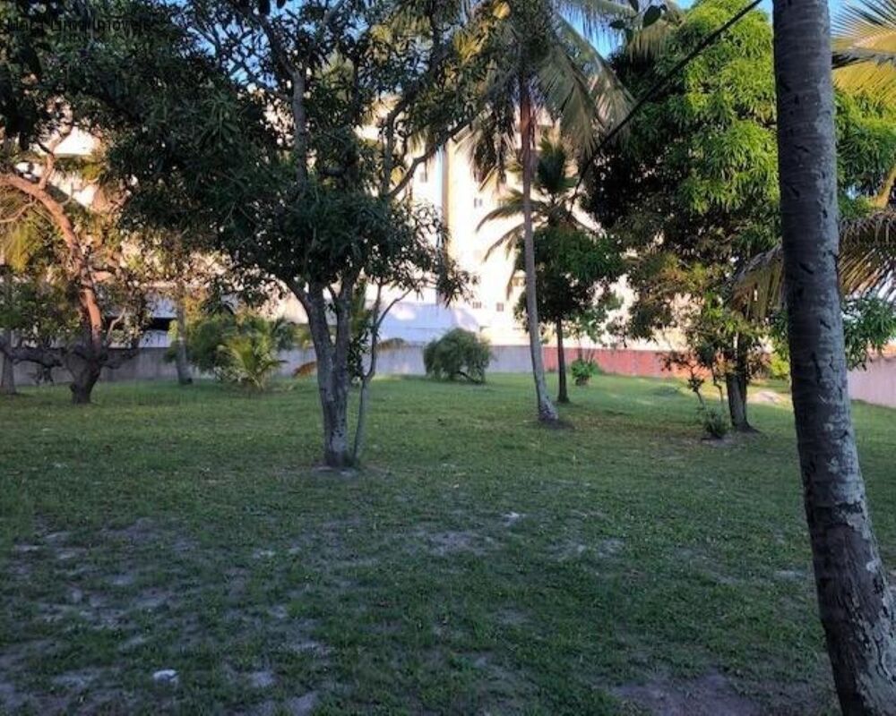 Terreno à venda, 5770m² - Foto 7