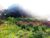 Terreno, 1000 m² - Foto 3
