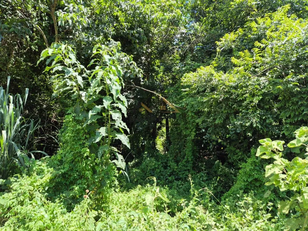 Sítio, 18 hectares - Foto 10