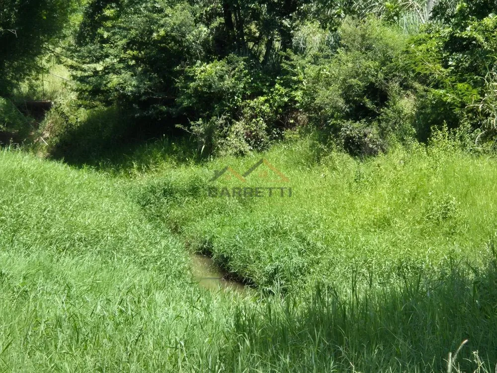 Sítio, 18 hectares - Foto 12