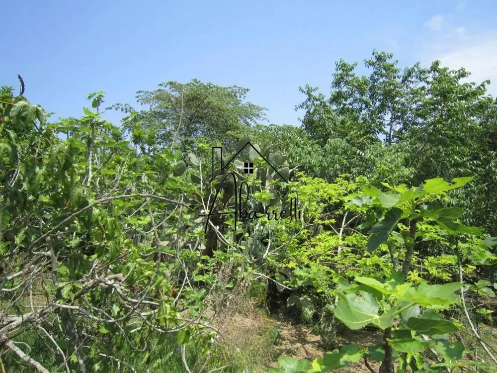 Sítio, 3 quartos, 5 hectares - Foto 11