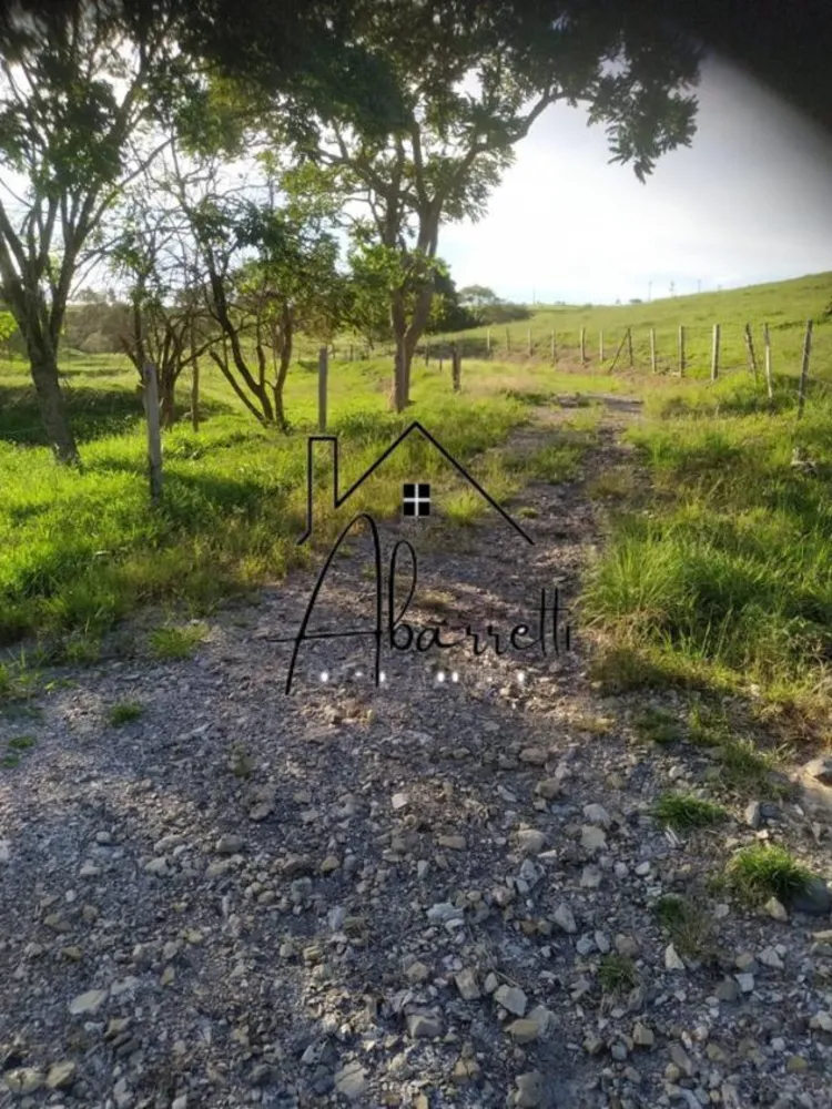 Sítio, 2 hectares - Foto 4