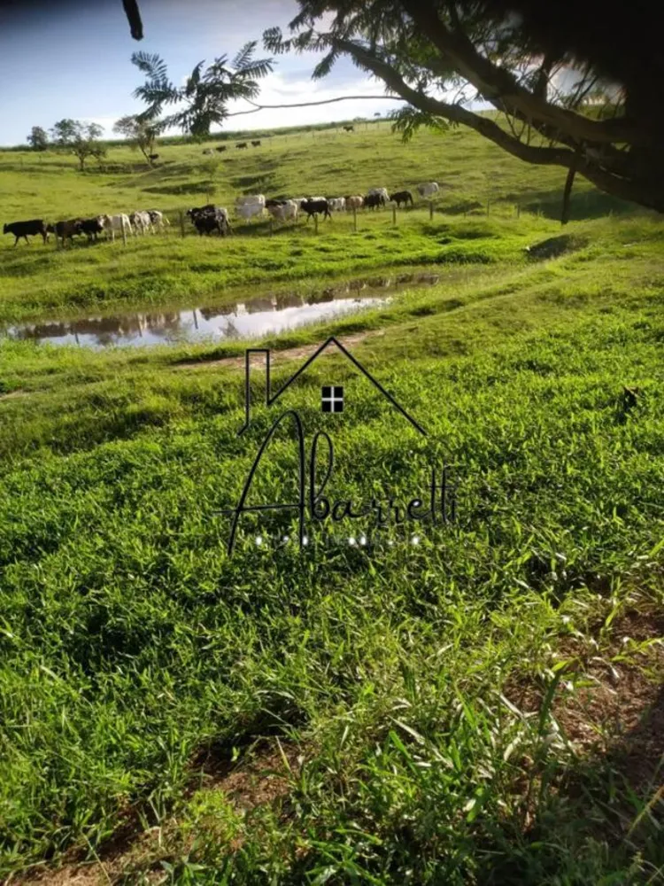 Sítio, 2 hectares - Foto 2