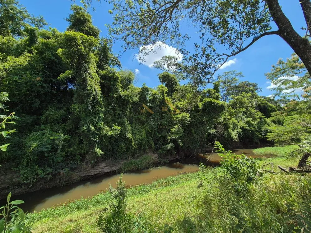 Sítio, 7 hectares - Foto 11