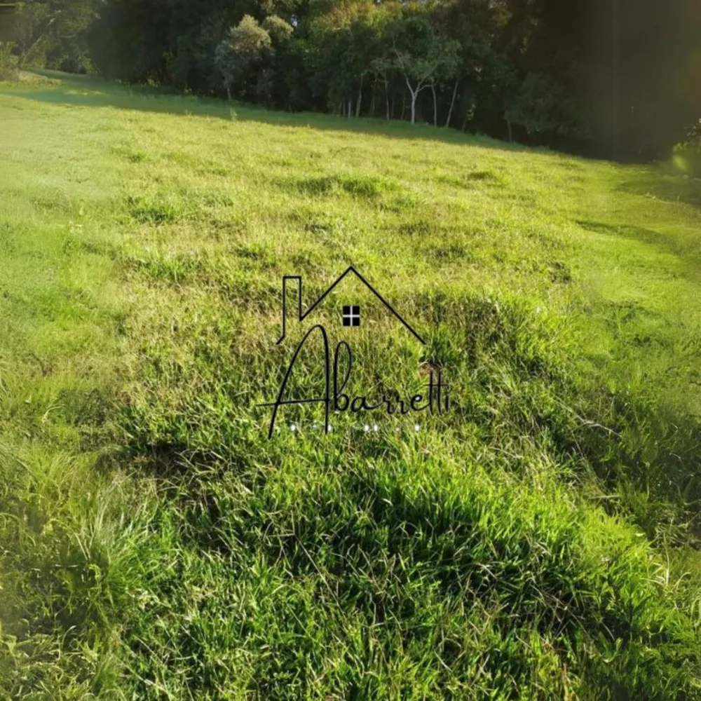 Sítio, 3 hectares - Foto 12