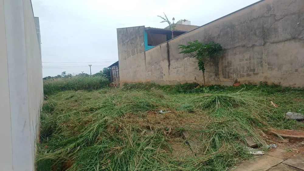 Terreno, 250 m² - Foto 3