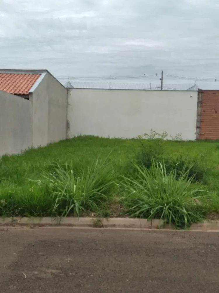 Terreno, 250 m² - Foto 5