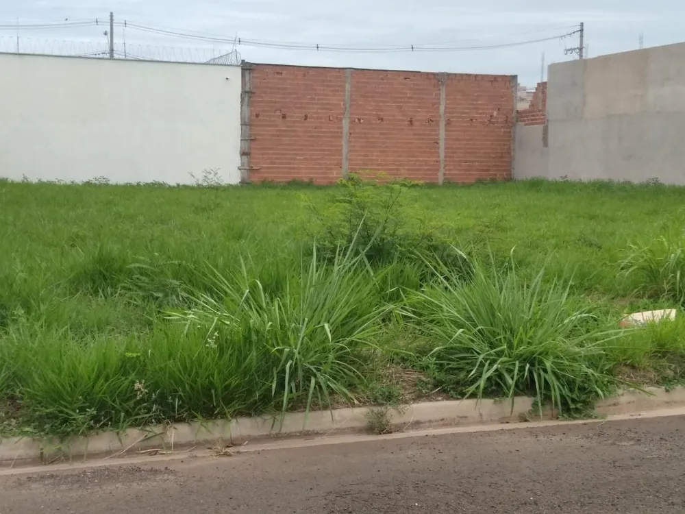 Terreno, 250 m² - Foto 4