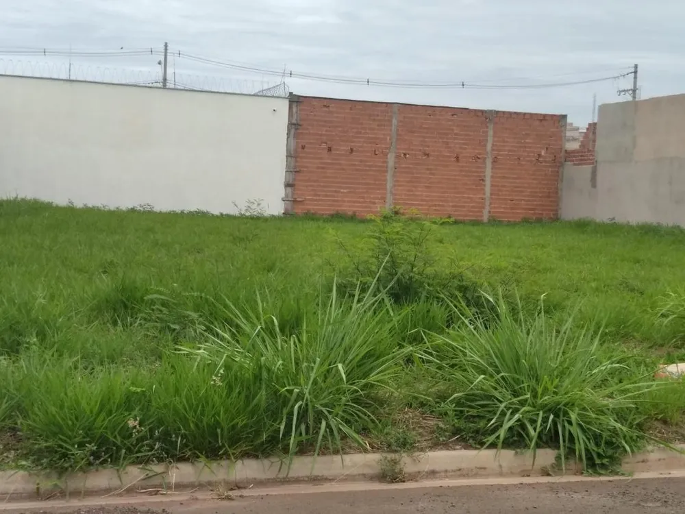 Terreno, 250 m² - Foto 6