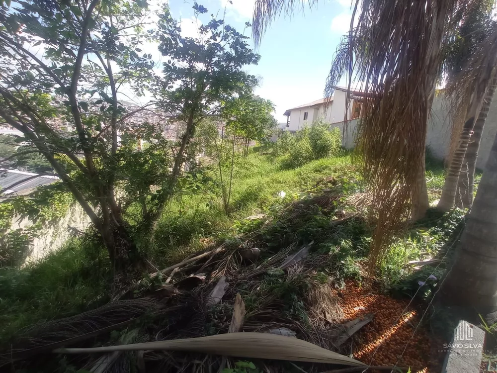 Terreno, 519 m² - Foto 3