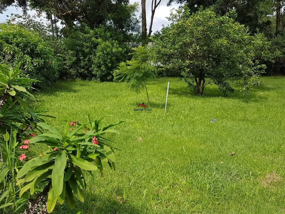 Terreno, 8 hectares - Foto 3