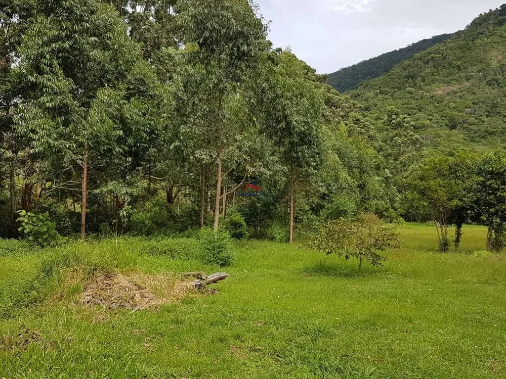 Terreno, 8 hectares - Foto 4