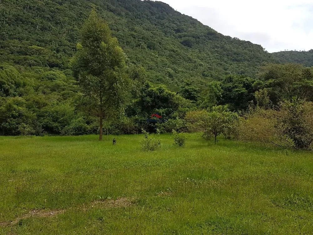 Terreno, 8 hectares - Foto 8