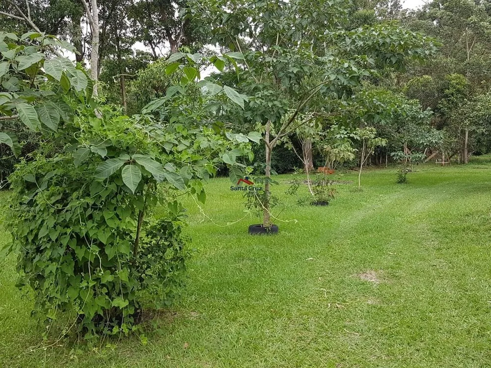 Terreno, 8 hectares - Foto 13
