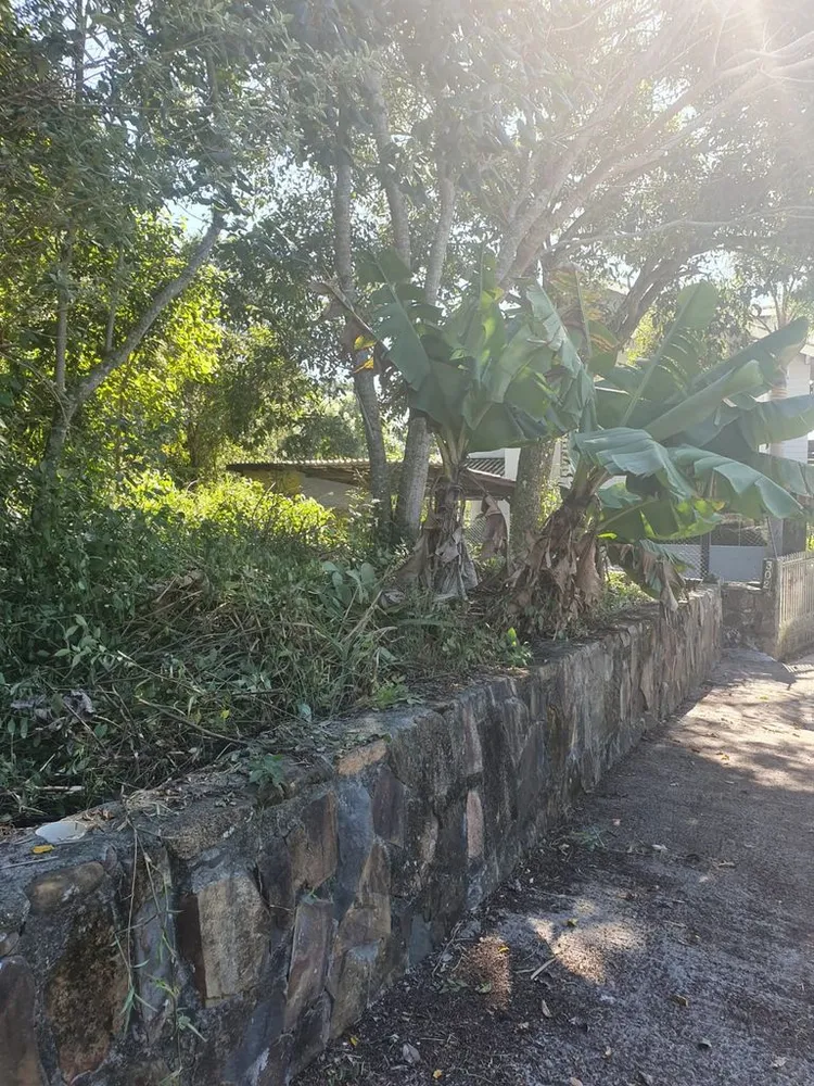 Terreno, 560 m² - Foto 11