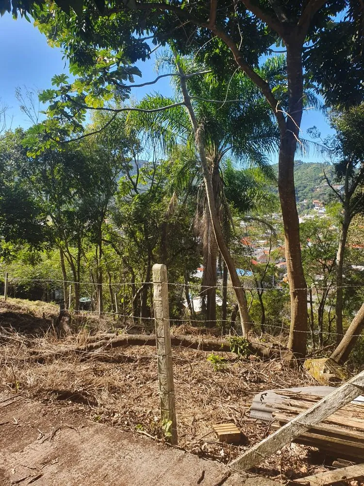 Terreno, 560 m² - Foto 10