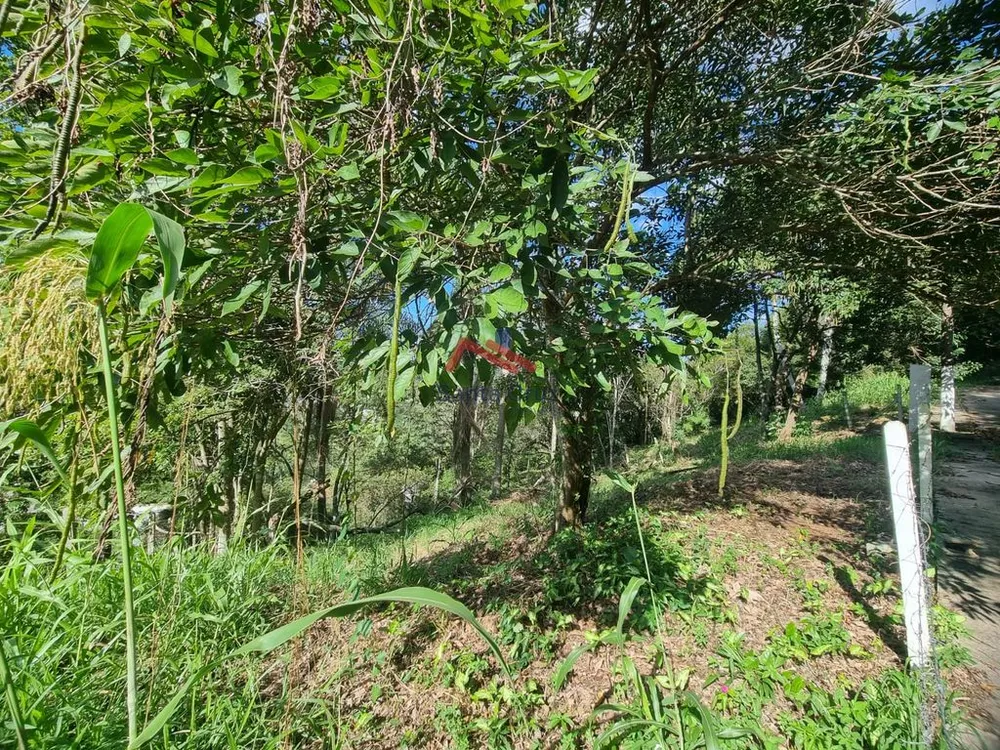 Terreno, 794 m² - Foto 3
