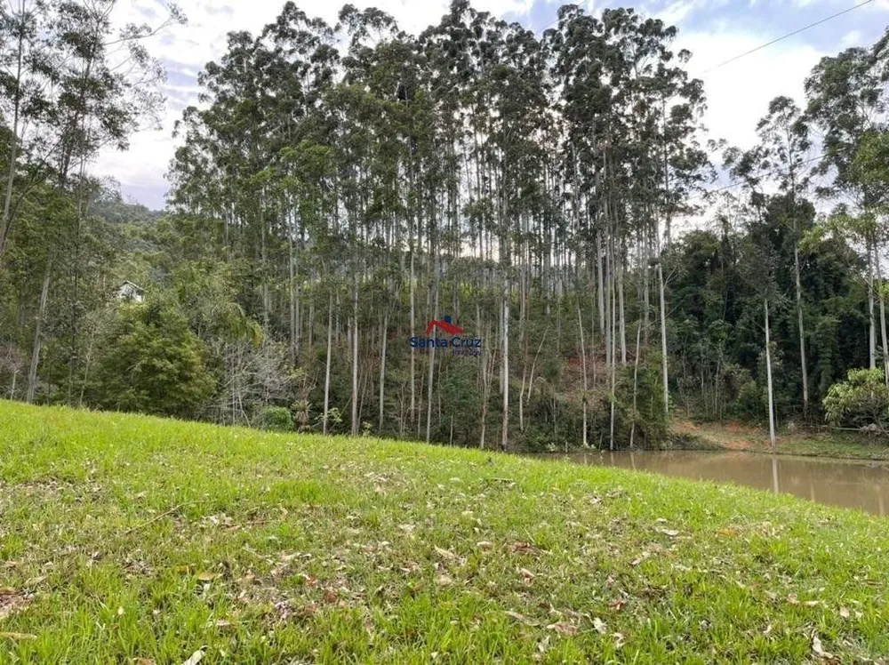 Terreno, 3 hectares - Foto 9