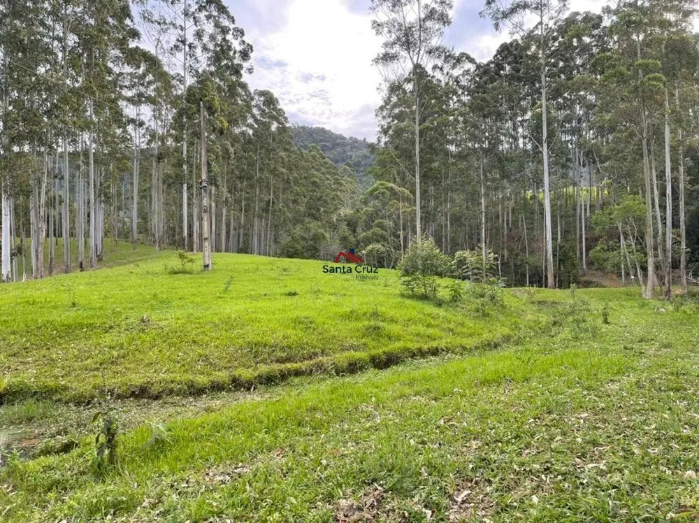 Terreno, 3 hectares - Foto 2