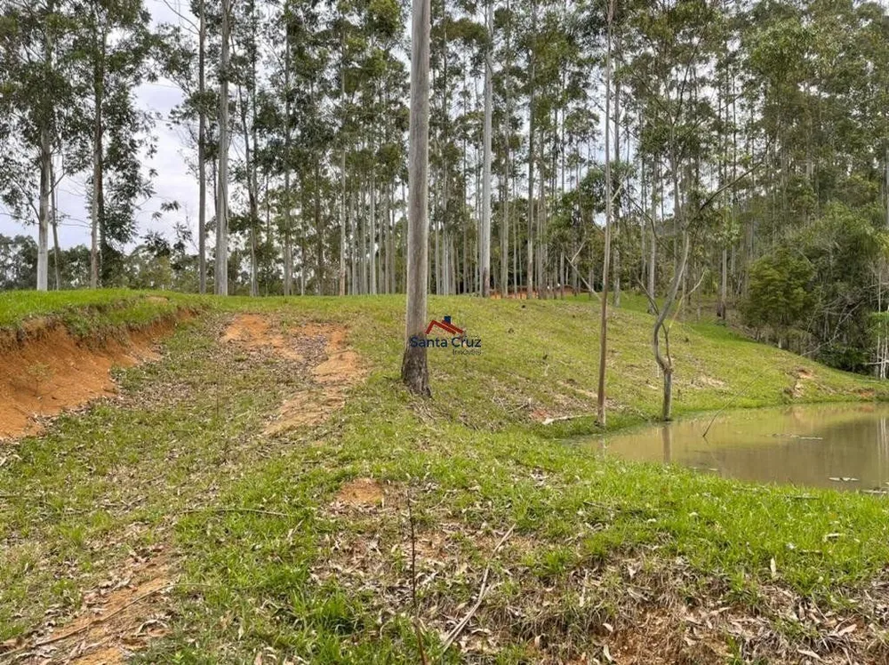 Terreno, 3 hectares - Foto 4