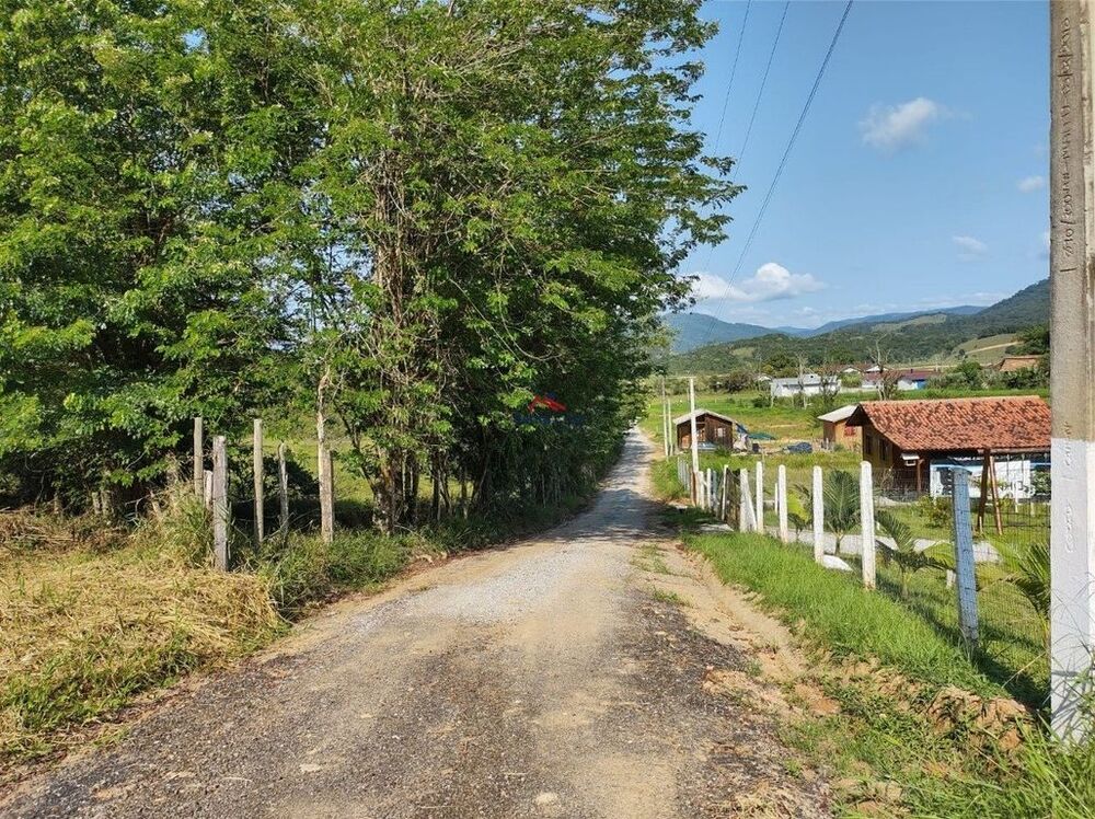 Terreno, 4 hectares - Foto 4