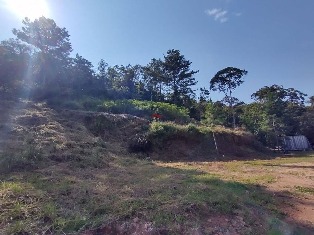Terreno, 4 hectares - Foto 1