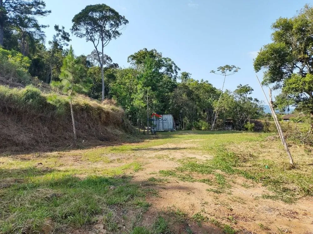 Terreno, 4 hectares - Foto 3