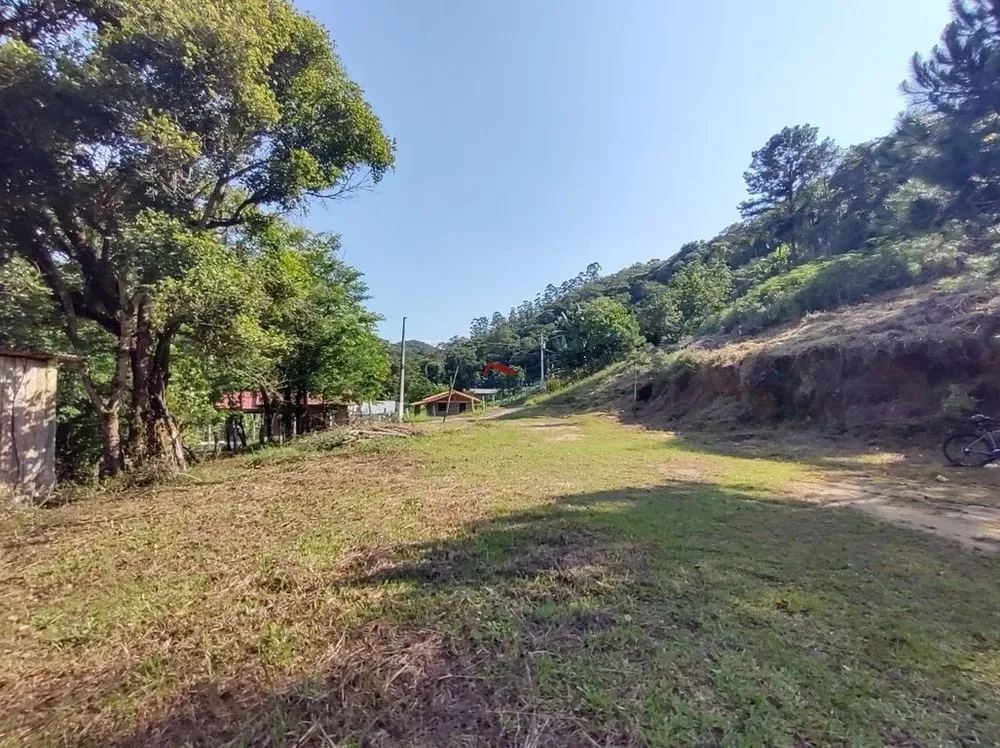 Terreno, 4 hectares - Foto 9