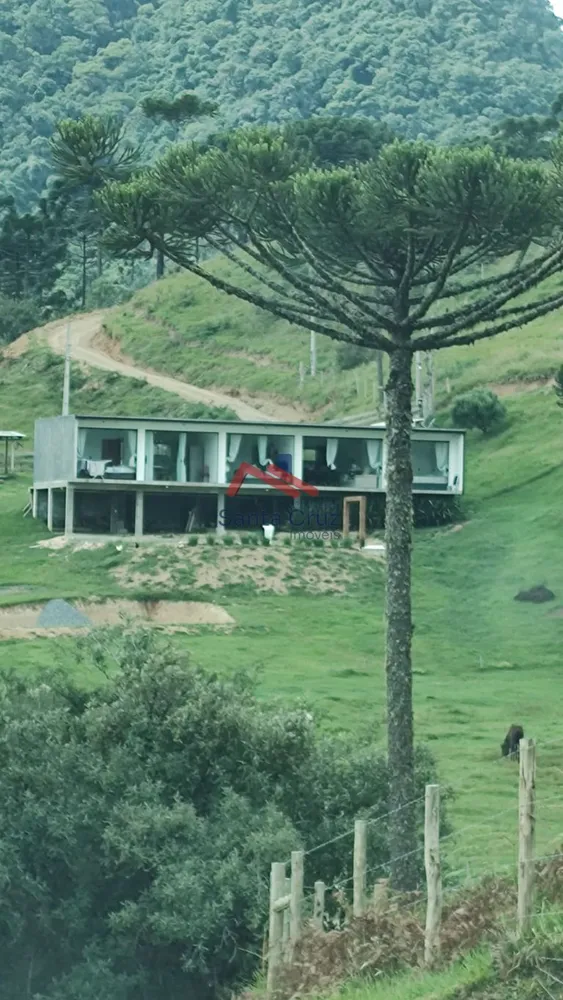 Chácara, 3 quartos, 2 hectares - Foto 4