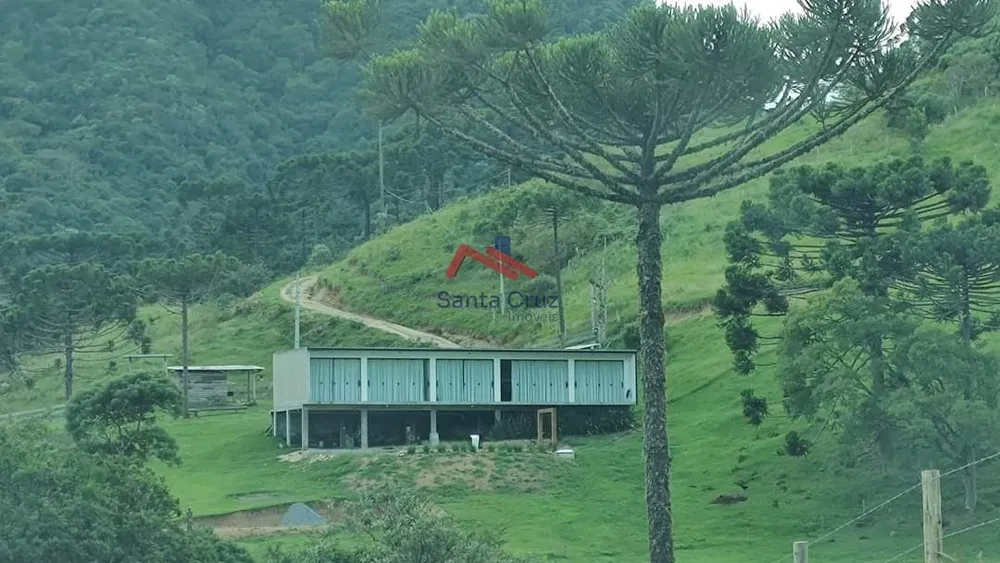 Chácara, 3 quartos, 2 hectares - Foto 6
