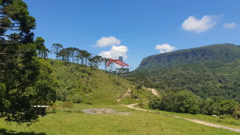 Chácara, 3 quartos, 2 hectares - Foto 7