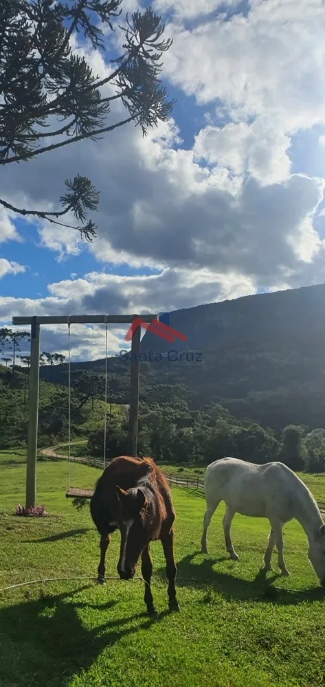 Chácara, 3 quartos, 2 hectares - Foto 8