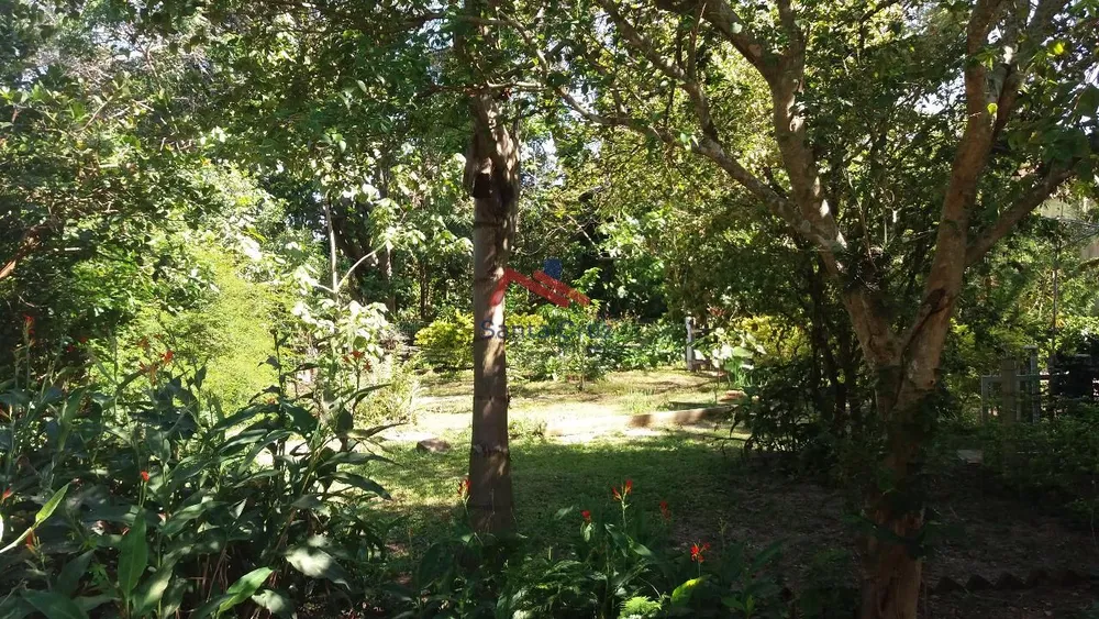 Casa, 4 quartos, 260 m² - Foto 5
