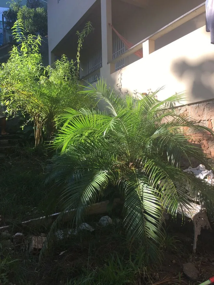Apartamento, 2 quartos, 72 m² - Foto 16