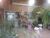 Casa, 2 quartos, 300 m² - Foto 1