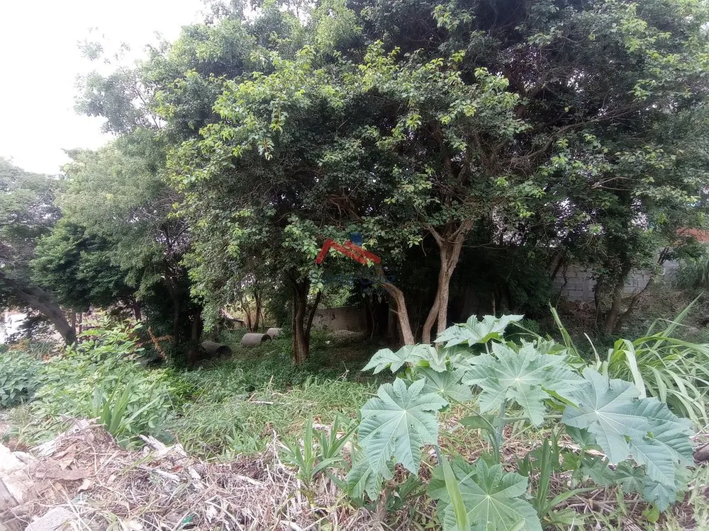 Terreno, 480 m² - Foto 6
